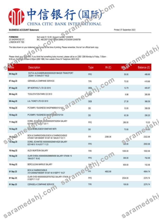 China Citic Bank corporate account statement Word and PDF template